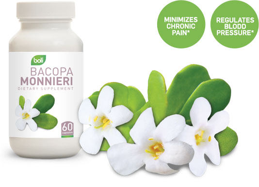 bacopa monnieri wholesale and private label