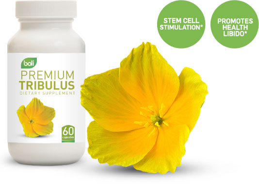 tribulus wholesale and private label