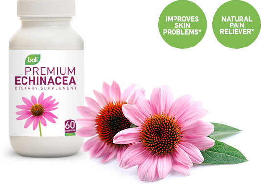 echinacea wholesale and private label