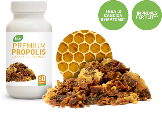 propolis wholesale and private label