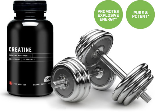 creatine wholesale and private label