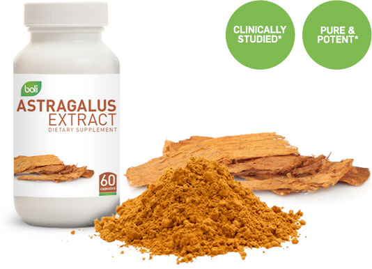 astragalus wholesale and private label