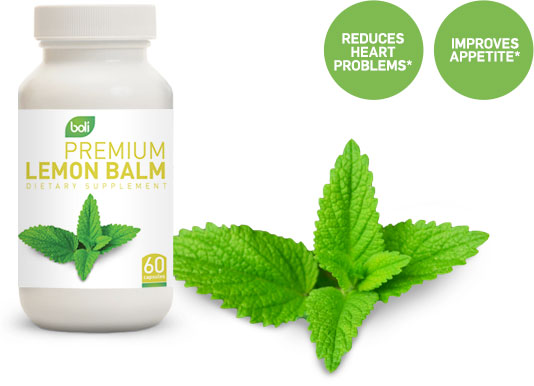 lemon balm wholesale and private label